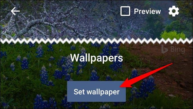 Preview the current wallpaper and then select the Set Wallpaper button.