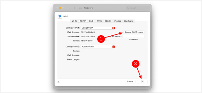 renew dhcp lease mac