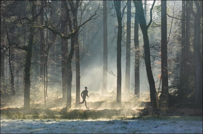 A runner in a foggy forest.
