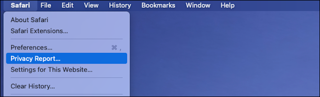 Visit Privacy Report on Safari