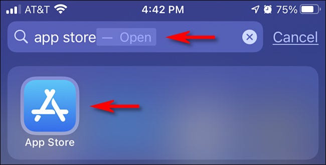 Open Spotlight Search and stype app store then tap the App Store icon.