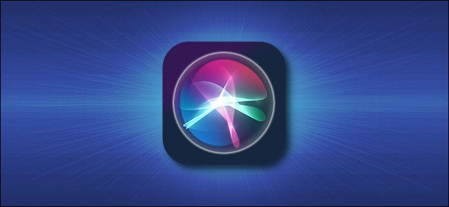 Apple Siri iPhone and iPad Icon Hero