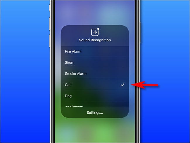 In Control Center, tap the Sound Recognition sounds you want your phone to listen out for