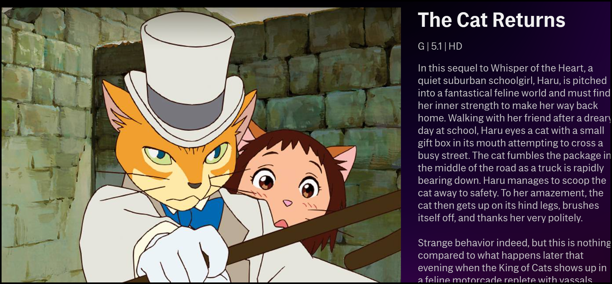 The description of The Cat Returns on HBO Max.