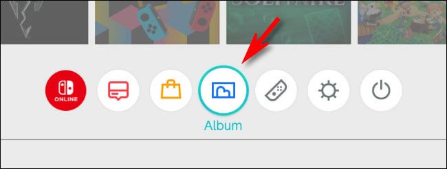 On the Switch HOME screen, select the Album icon.