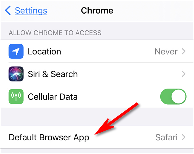 Select the Default Browser App option in iPhone Settings