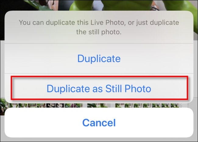 Tap Duplicate as Still Photo in Photos on iPhone.