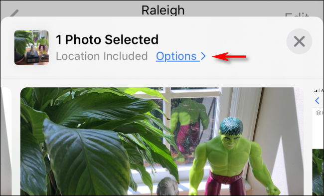 Tap Options before sharing a photo on iPhone.