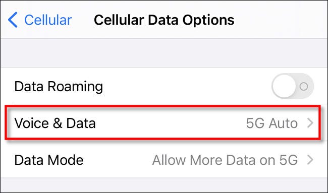 In Cellular Dat Options, tap Voice & Data.