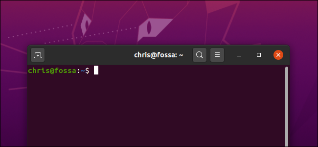 A Terminal window on a Ubuntu desktop.