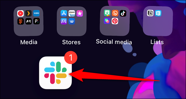 The app icon will appear on your iPhone's home screen