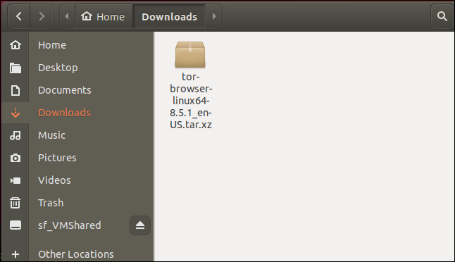 Downloaded file in the downloads directory