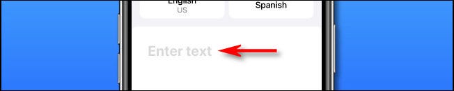 In Apple Translate on iPhone, tap the Enter text area to input text to translate.