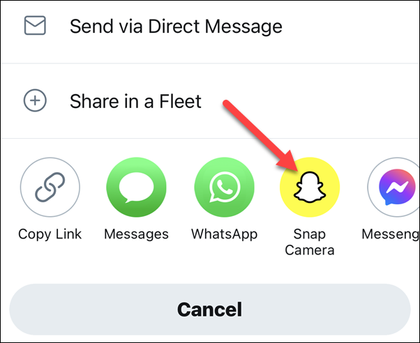 tap snap camera in the share menu