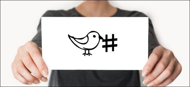 Someone holding a card with the Twitter bird drawn on it next to a hashtag.