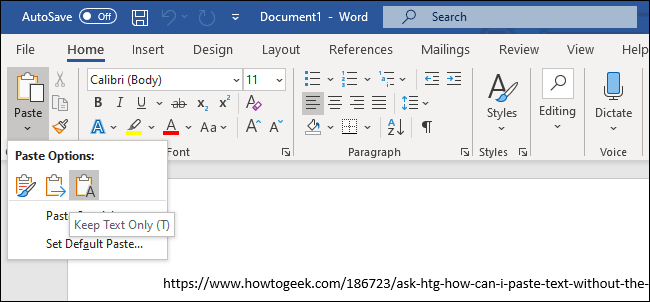 The Keep Text Only option for pasting text in Microsoft Word.