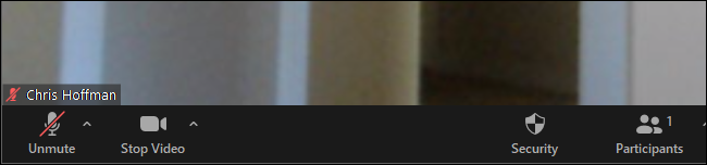 The Unmute button shows you're muted in Zoom
